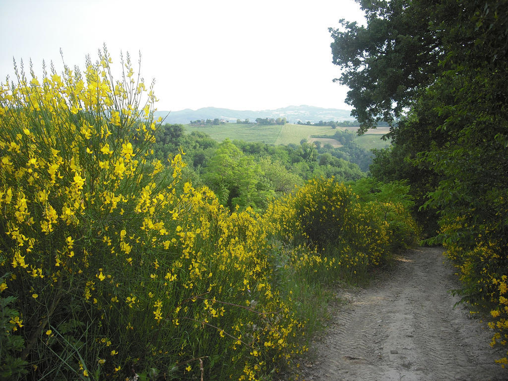 Agriturismo Biologico Villa Rosa Monte Guiduccio Экстерьер фото